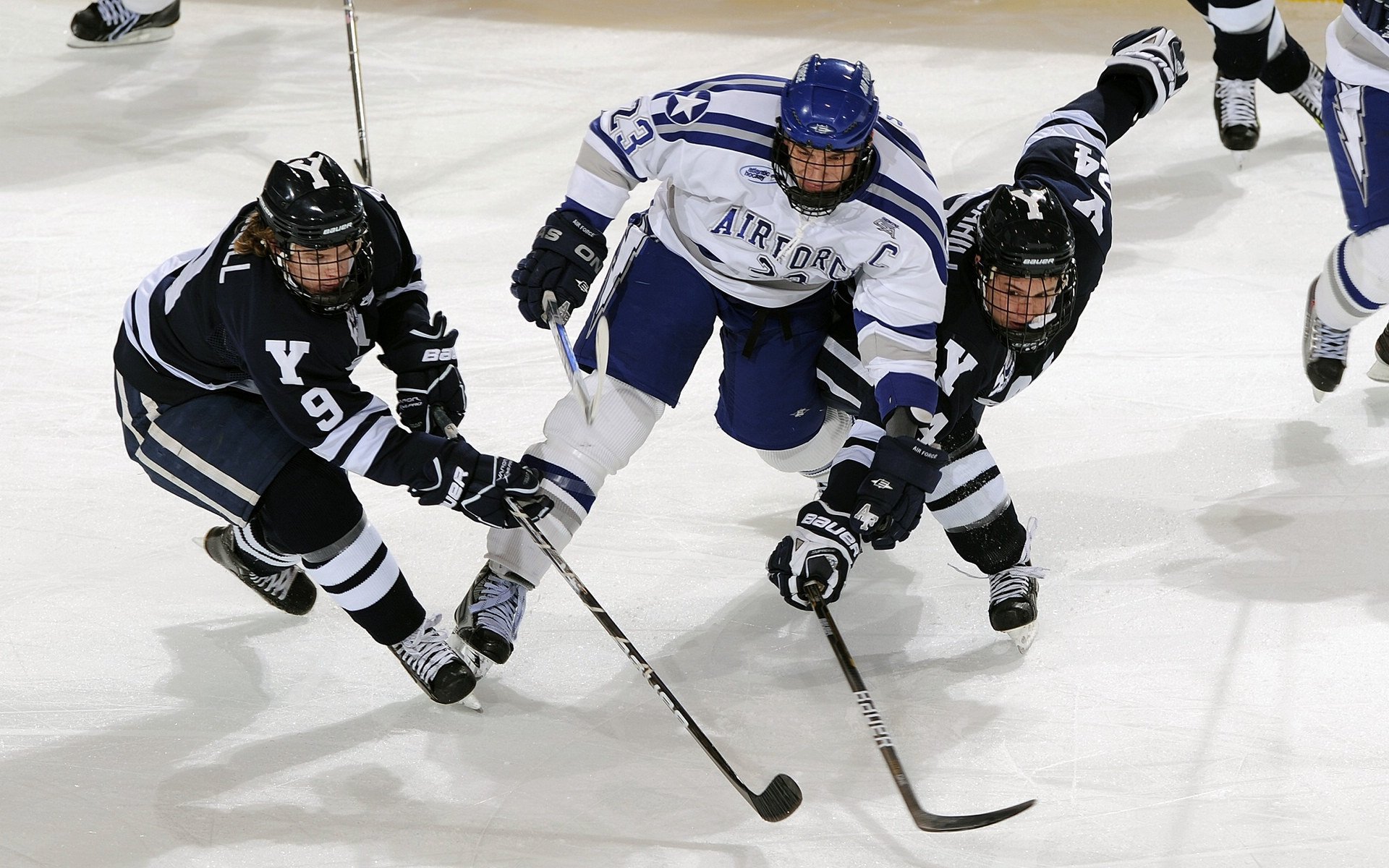 公牛队士气高昂，期待突破历史，公牛队集锦